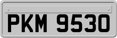 PKM9530