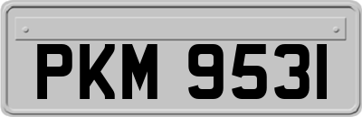 PKM9531