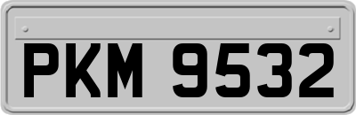PKM9532