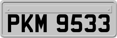 PKM9533