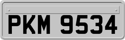 PKM9534