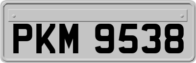 PKM9538