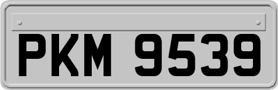 PKM9539
