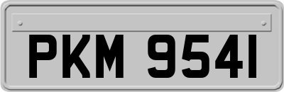 PKM9541