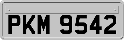 PKM9542