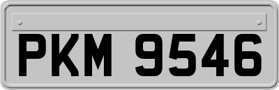 PKM9546