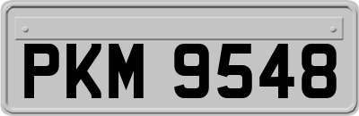 PKM9548
