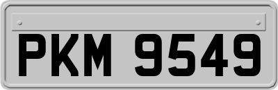 PKM9549