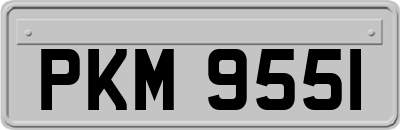 PKM9551