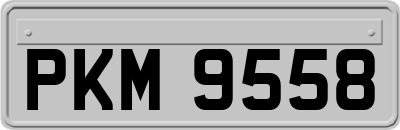 PKM9558