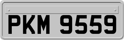 PKM9559