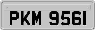 PKM9561