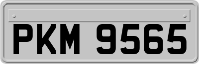 PKM9565