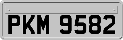 PKM9582