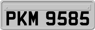 PKM9585