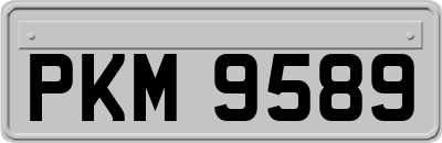 PKM9589