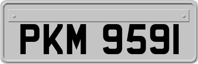 PKM9591