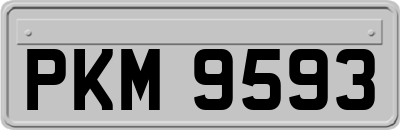 PKM9593