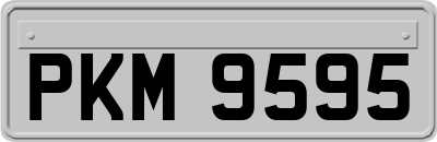 PKM9595