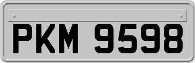 PKM9598