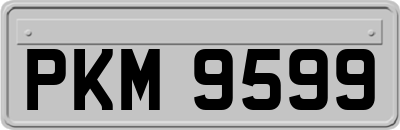 PKM9599