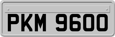 PKM9600