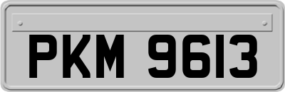 PKM9613