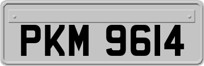 PKM9614