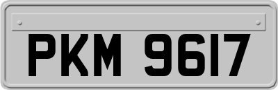 PKM9617