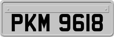 PKM9618