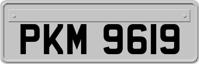 PKM9619