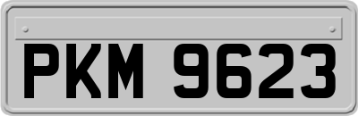 PKM9623