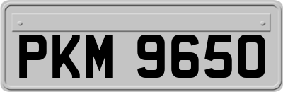 PKM9650