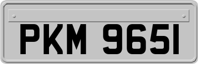 PKM9651