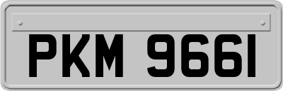 PKM9661