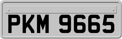 PKM9665