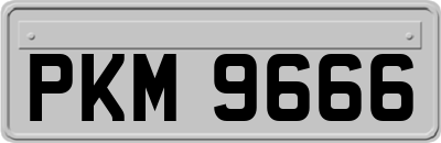 PKM9666