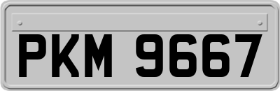 PKM9667