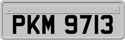 PKM9713