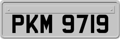 PKM9719