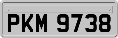 PKM9738