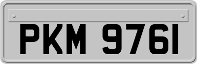 PKM9761