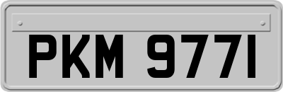 PKM9771