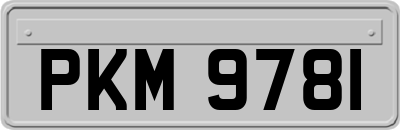PKM9781