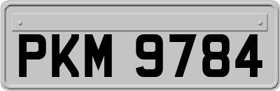 PKM9784