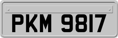PKM9817