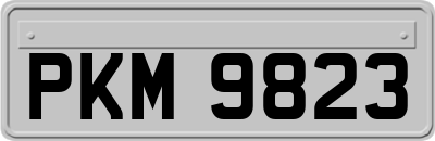 PKM9823