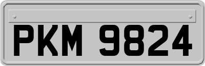 PKM9824