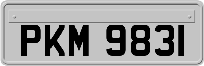 PKM9831
