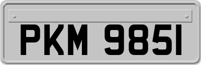 PKM9851